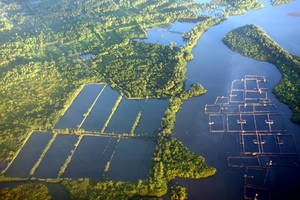 Typhoon Haiyan - One year later