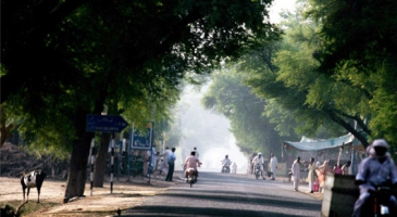 FAO launches Asia Pacific Agricultural Extension and Outreach Network – APAEON