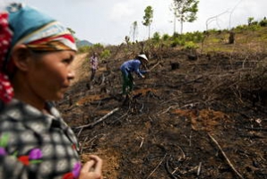 Erosion of forests and grasslands triggers alarm bells in Asia and the Pacific