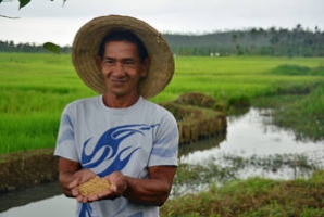 Six months after disaster, Philippine farmers bring in the harvest 