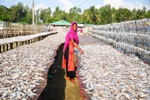 World Fisheries Day: FAO and the Vatican urge social protection for fishers