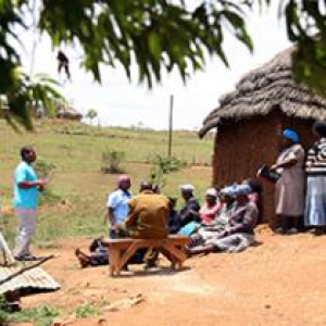 Discusión en línea: ¿Qué papel pueden desempeñar los servicios de extensión y asesoría agraria en lograr la igualdad de género y la mejora de la nutrición?