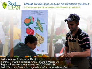 Webinar: Terminologías utilizadas para promover, comunicar y educar acerca de hábitos alimentarios saludables