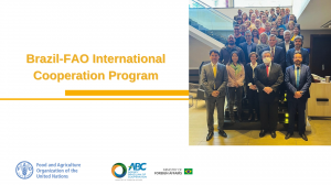 Brazil and FAO renew their commitment to south-south cooperation ...