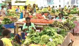 Food Security Monitoring Systems for Vanuatu