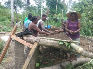 Solomon Island farmers and complete capacity building