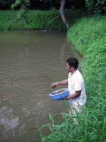 Pacific governments plan a better future from aquaculture