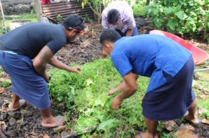 Training in organic farming and food production for farmers in Samoa