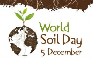 World Soil Day - Where food begins