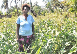 FAO helps rebuild pride in Agriculture