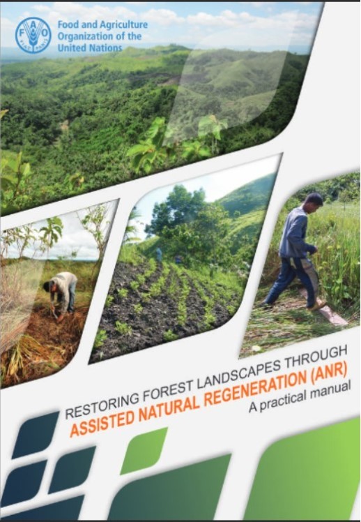 FAO SFM Tool Detail Restoring forest landscapes through assisted