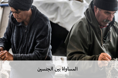 المساواة بين الجنسين