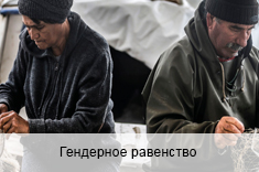 Гендерное равенство Гендерное равенство