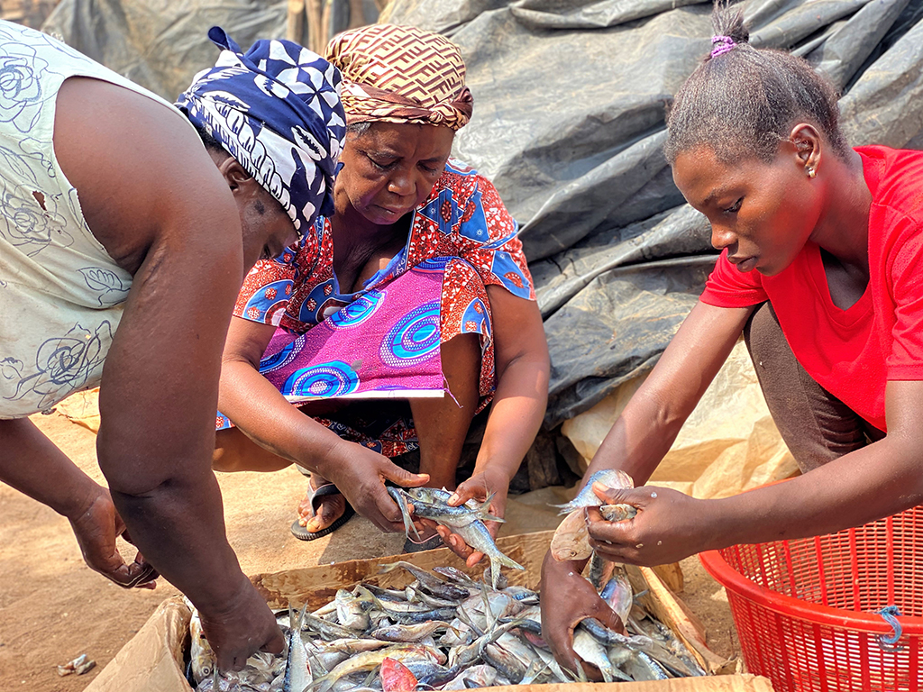 Click to enlarge Click to enlarge