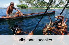 Indigenous people