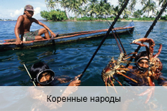 Коренные народы Коренные народы