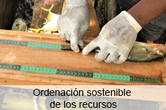 Ordenación sostenible de los recursos