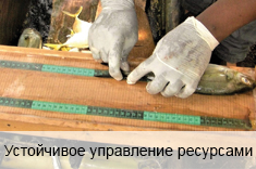 Устойчивое управление ресурсами Устойчивое управление ресурсами