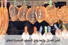 الأمن الغذائي والتغذية 