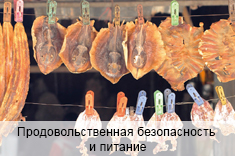Продовольственная безопасность и питание Продовольственная безопасность и питание