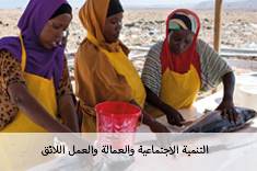 سلاسل القيمة ومرحلة ما بعد الحصاد والتجارة