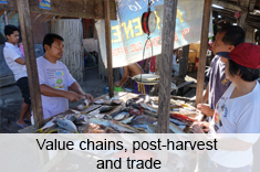 Value chains, post-harvest and trade in small-scale fisheries