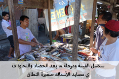 سلاسل القيمة ومرحلة ما بعد الحصاد والتجارة