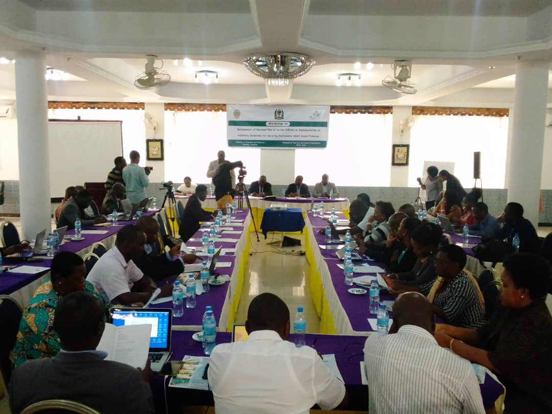 Click to enlarge Click to enlarge