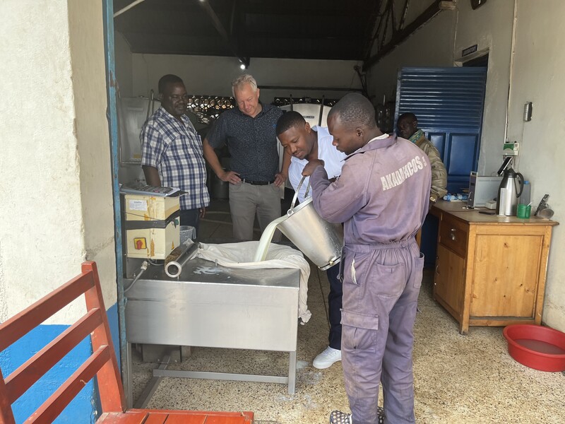 FAO ramps up support to Uganda’s promising dairy sector on World Milk ...