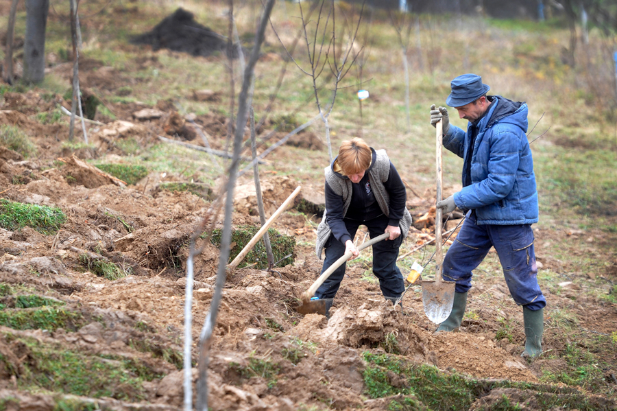 ©FAO/AFP/Oliver Bunic / FAO