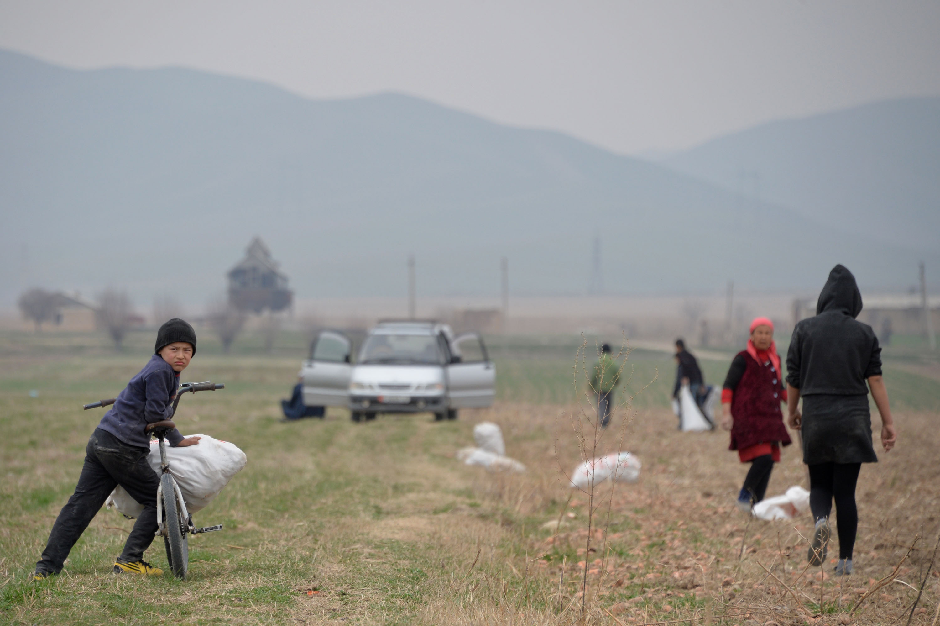 ©FAO/Vyacheslav Oseledko / FAO