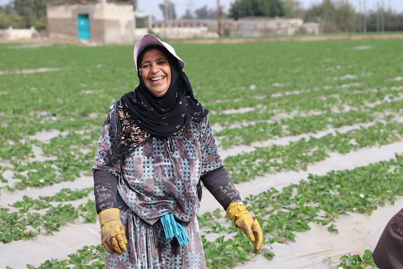 Photo 1 ©FAO/Stephanie Leontiev, Photo 2 ©BERD