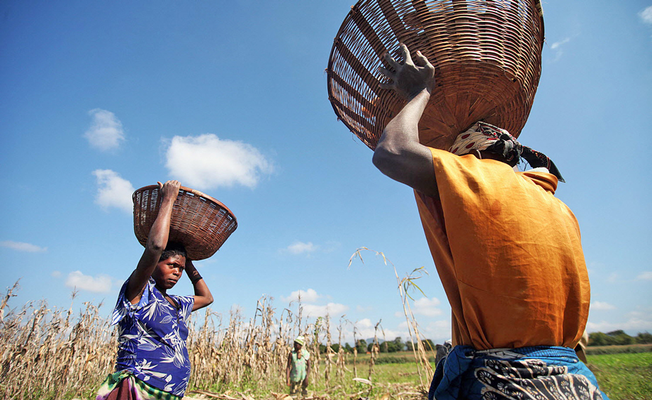 All photos by © FAO/Paballo Thekiso, photo of women working together by © FAO/Giuseppe Bizzarri