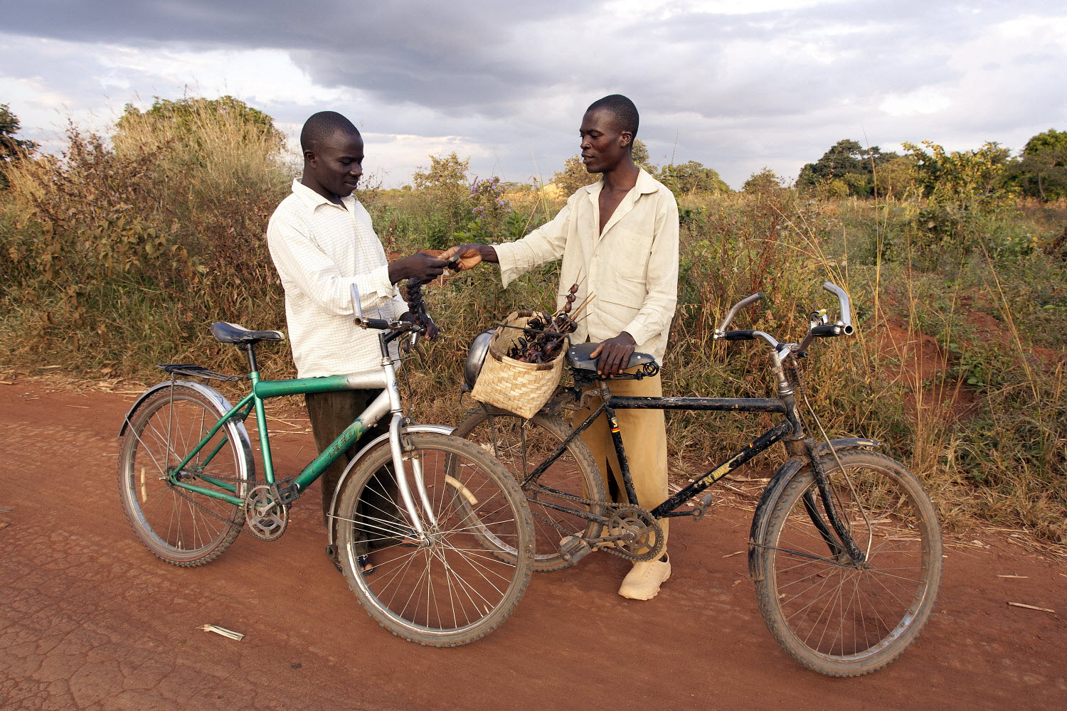  Main image © FAO/Amos Gumulira, other photos ©FAO/Eddie Gerald