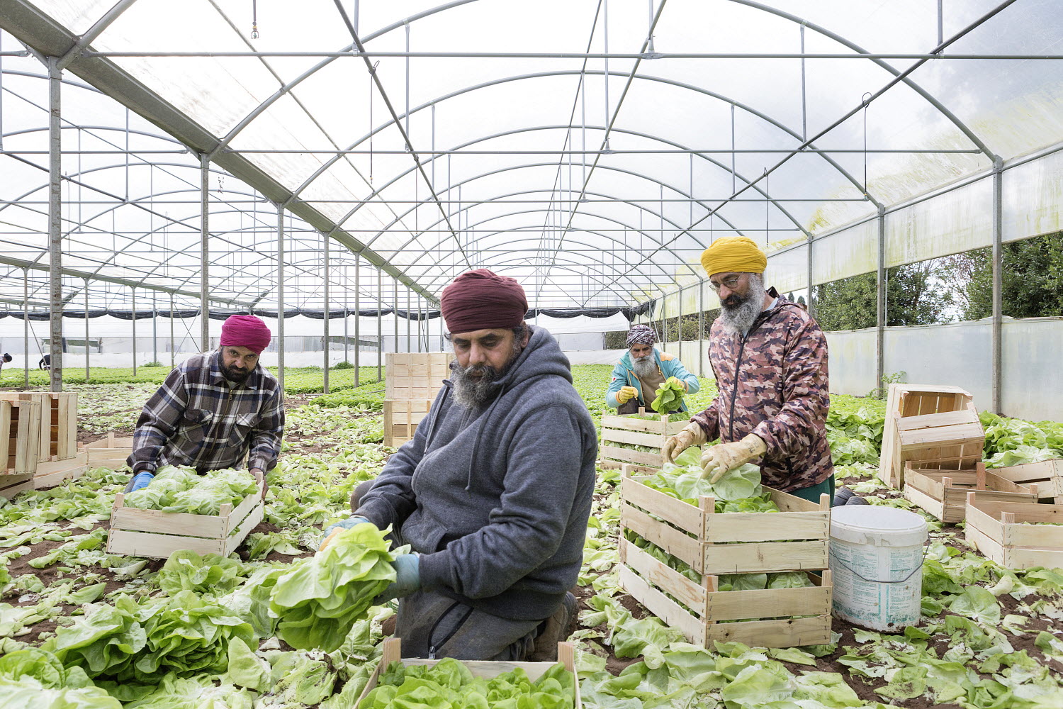 © FAO/Alessandro Penso © FAO/Alessandro Penso