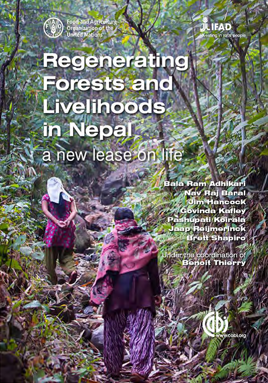 Forestry Nepal Forest Area Expanding In Nepal On The Back Of Community