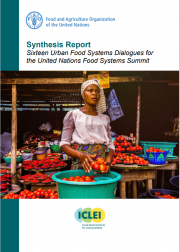 Sixteen Urban Food Systems Dialogues for the UN Food Systems Summit
