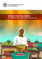 Mapping of territorial markets – Methodology and guidelines for participatory data collection