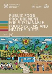Public food procurement for sustainable food systems and healthy diets - Volume 1 & 2