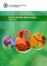 Mapping territorial markets in Kenya