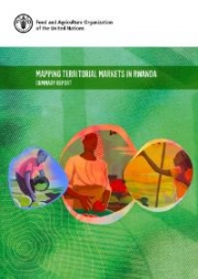 Mapping territorial markets in Rwanda