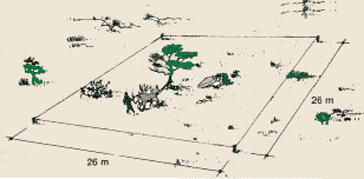 0052-01.gif (26819 byte)