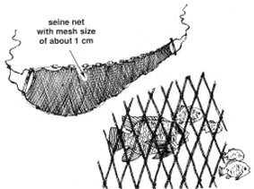 0254-01.gif (31567 byte)