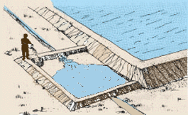 0260-01.gif (38369 byte)