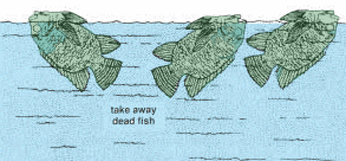 0412-01.gif (47109 byte)