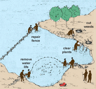 0433-01.gif (83169 byte)