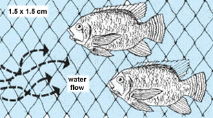 0444-01.gif (58736 byte)