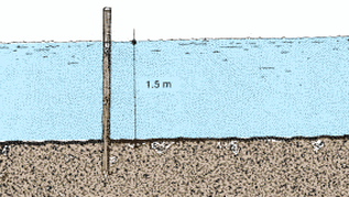 0450-01.gif (42974 byte)