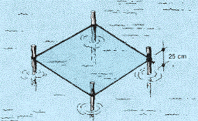 0452-01.gif (50009 byte)