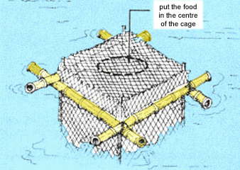 0491-01.gif (55980 byte)